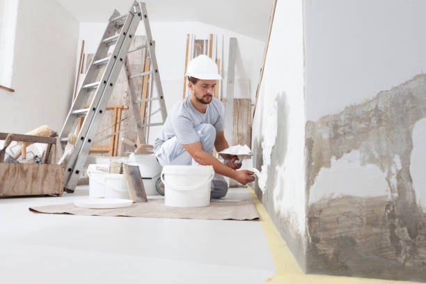 Professional Mold Removal in New Baltimore, OH