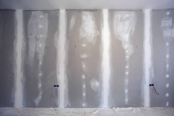 Best Black Mold Removal  in New Baltimore, OH